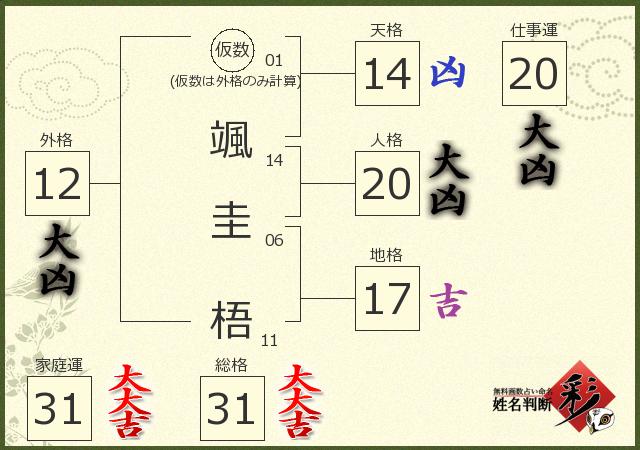 診断結果画像