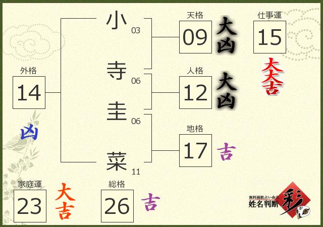 診断結果画像