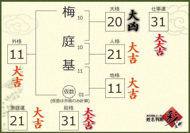 診断結果画像
