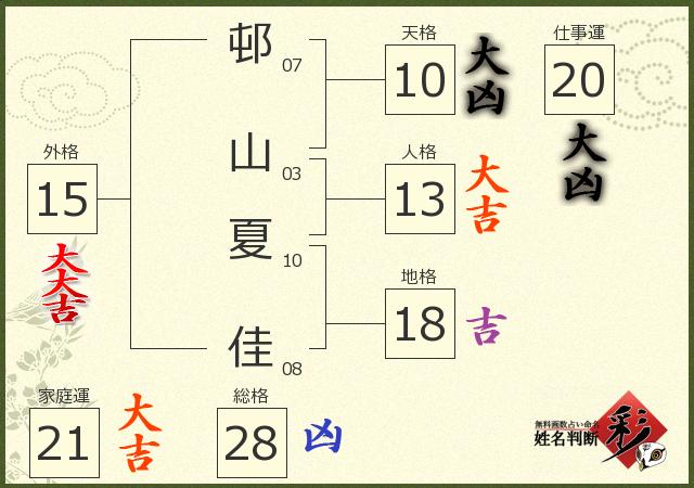 診断結果画像
