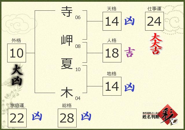 診断結果画像