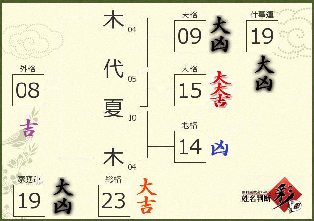 診断結果画像