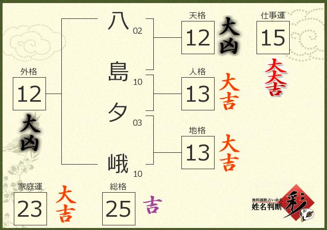 診断結果画像