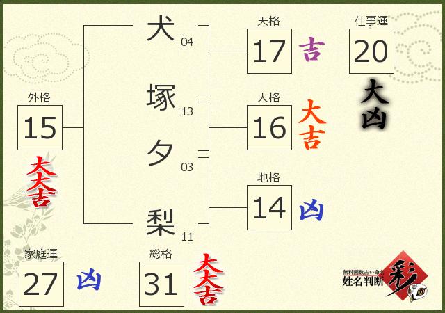 診断結果画像
