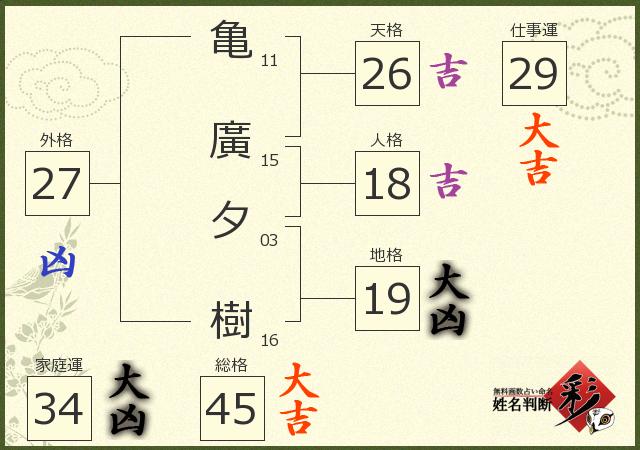 診断結果画像