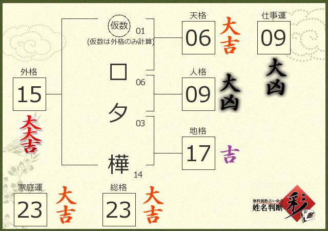 診断結果画像