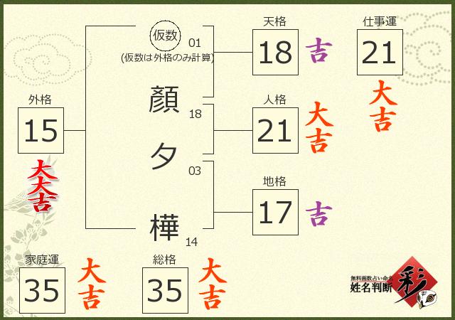 診断結果画像