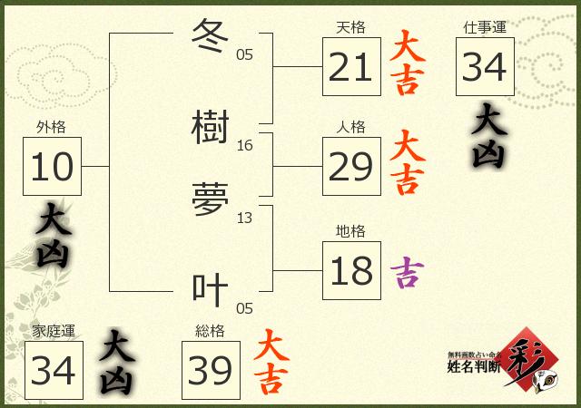 診断結果画像