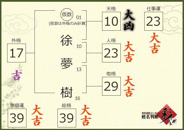 診断結果画像