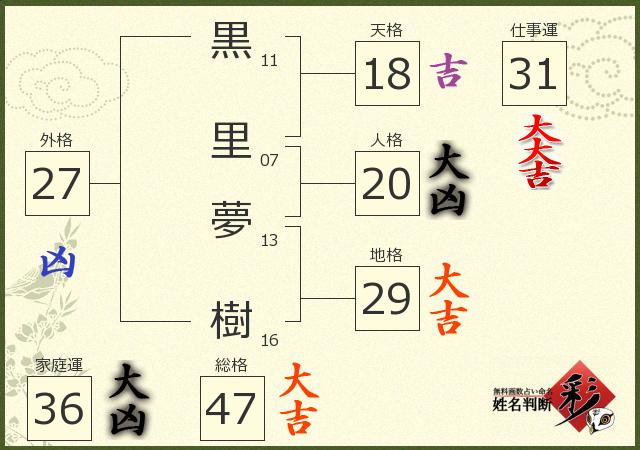 診断結果画像