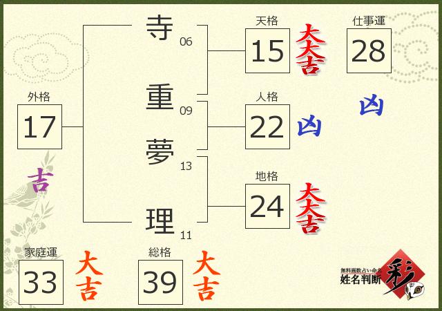 診断結果画像