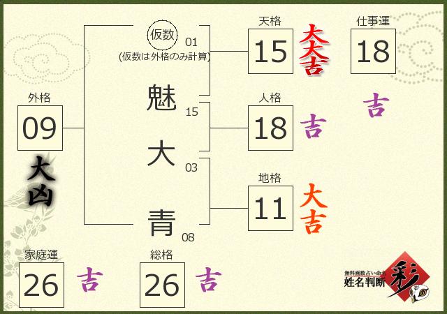 診断結果画像