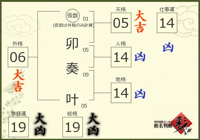 診断結果画像