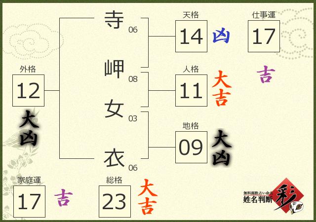 診断結果画像