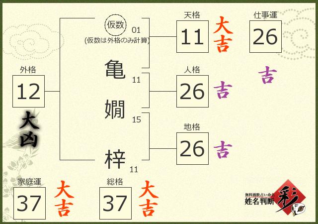 診断結果画像
