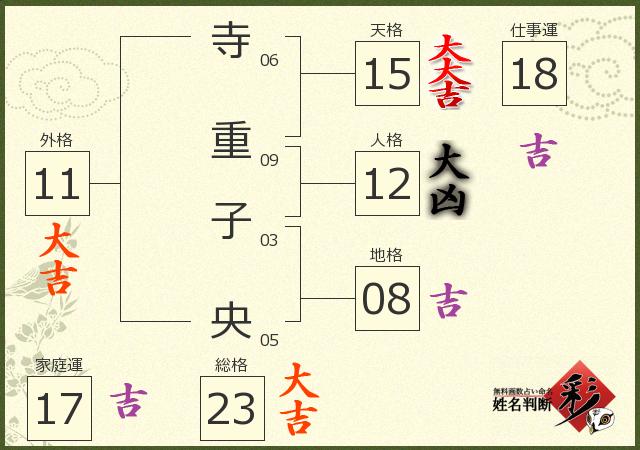 診断結果画像
