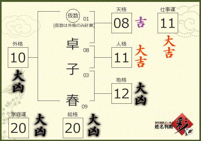 診断結果画像