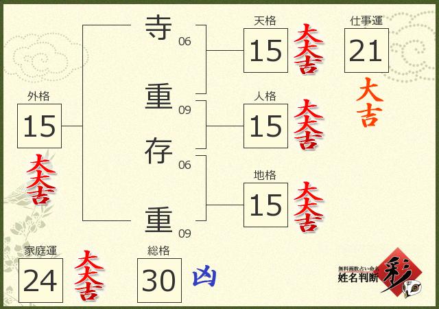 診断結果画像