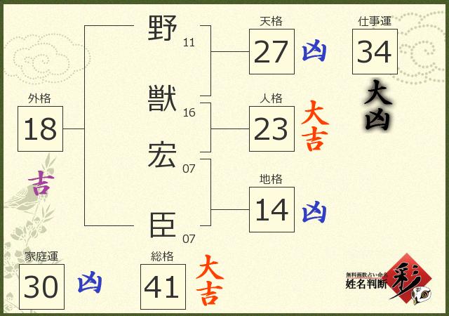 診断結果画像