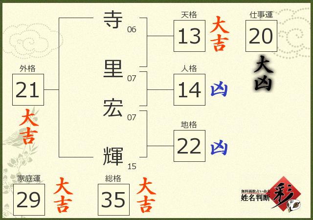 診断結果画像