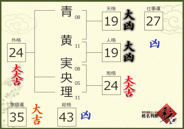 診断結果画像