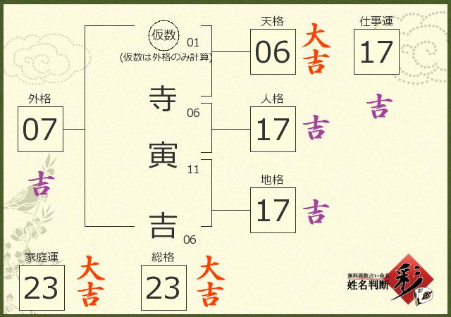 診断結果画像