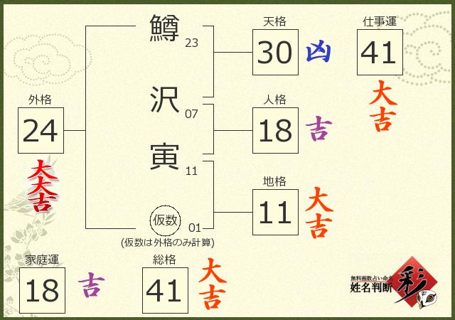診断結果画像