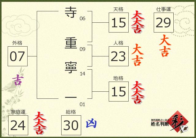 診断結果画像
