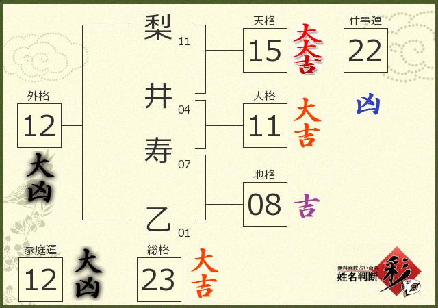 診断結果画像