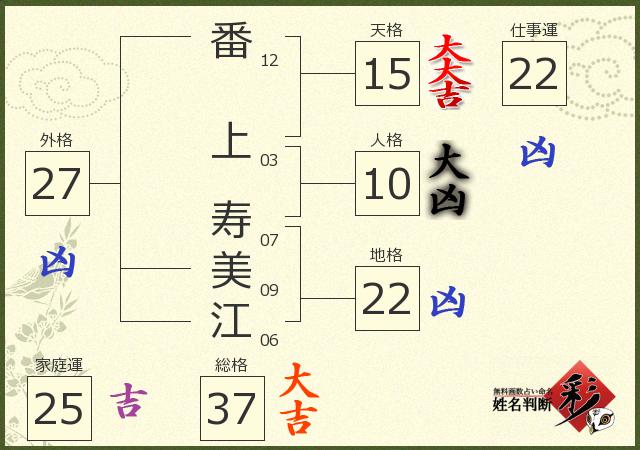 診断結果画像