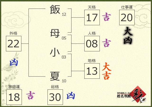 診断結果画像