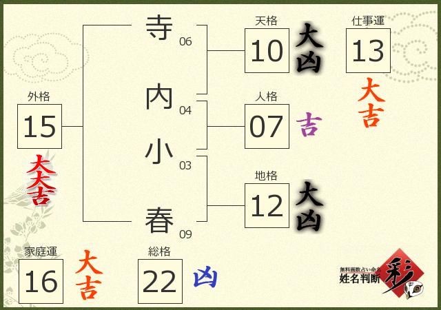 診断結果画像