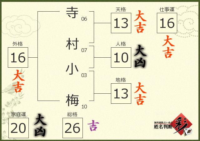 診断結果画像