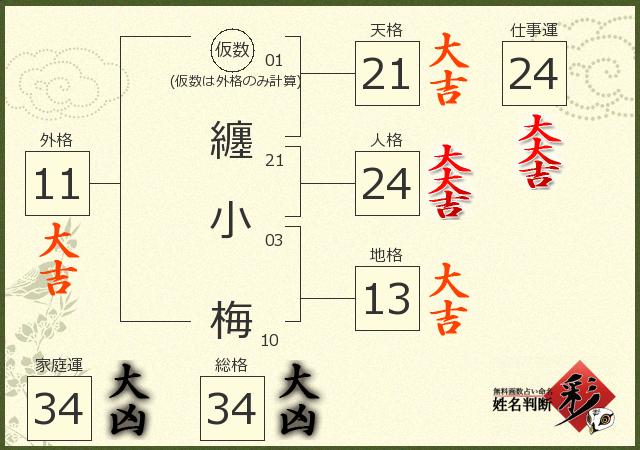 診断結果画像