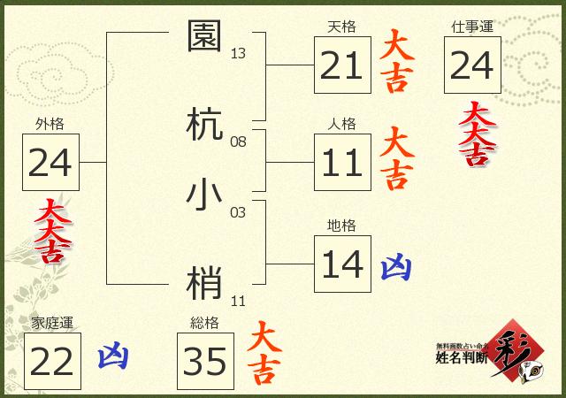 診断結果画像