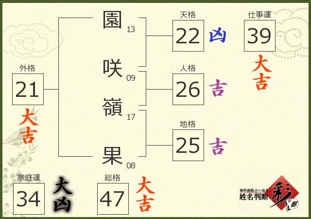 診断結果画像