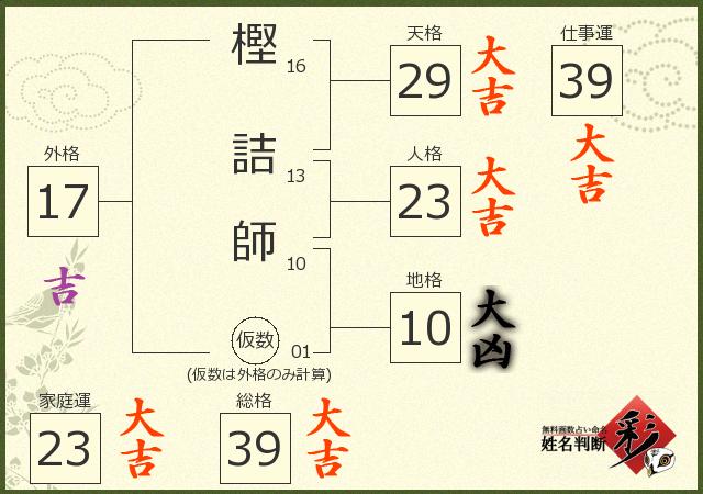 診断結果画像