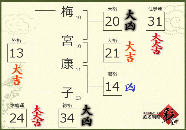 診断結果画像