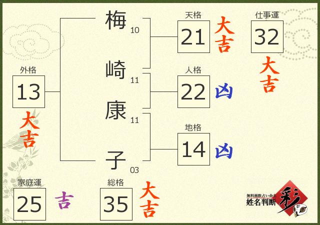 診断結果画像