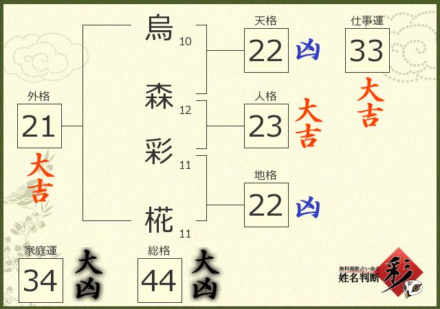 診断結果画像