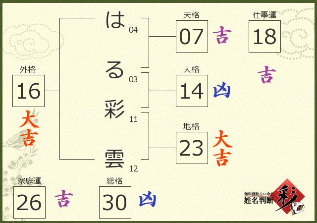 診断結果画像
