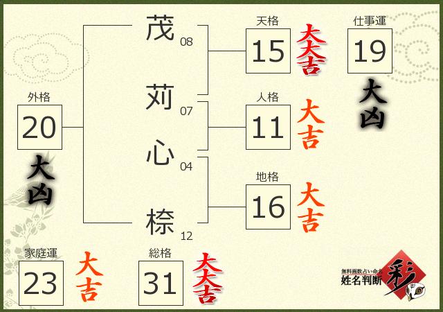 診断結果画像