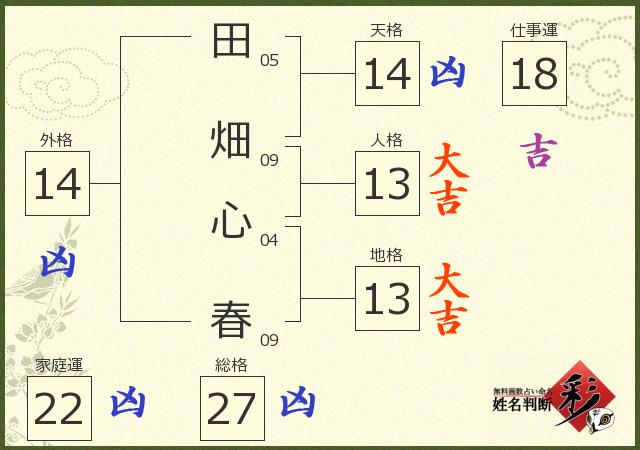 診断結果画像