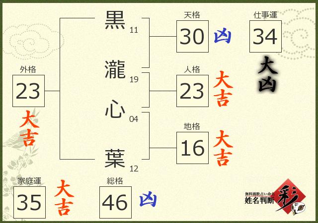 診断結果画像