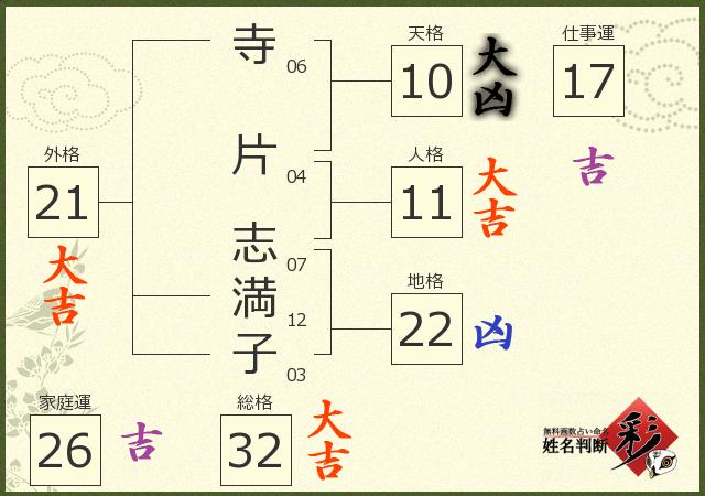 診断結果画像
