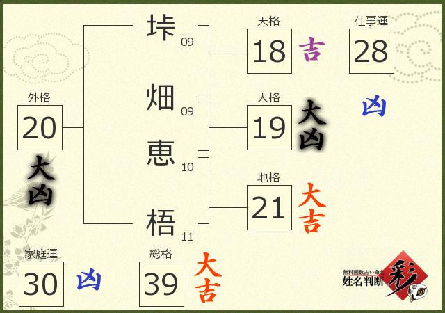 診断結果画像