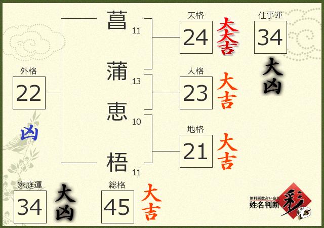 診断結果画像
