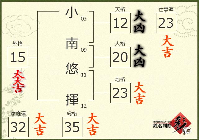 診断結果画像