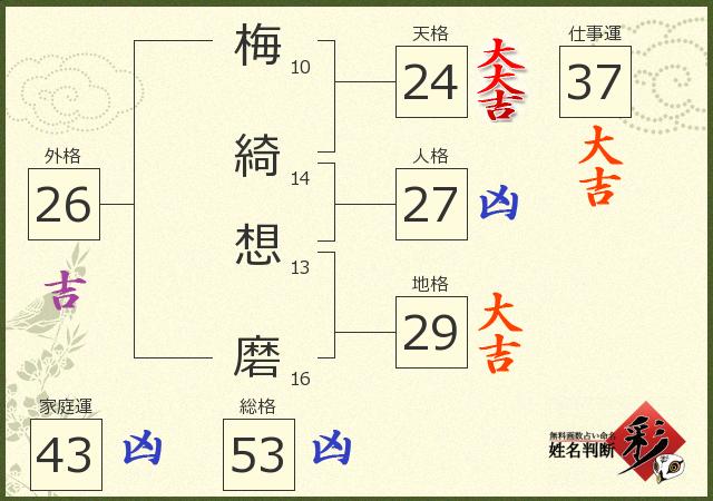 診断結果画像