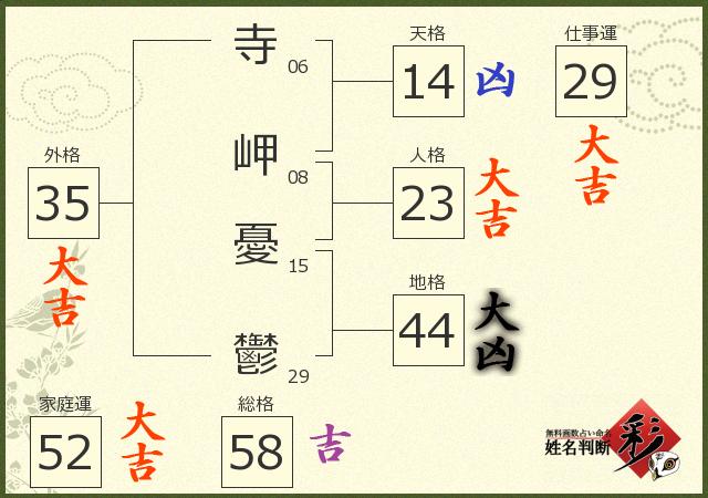 診断結果画像
